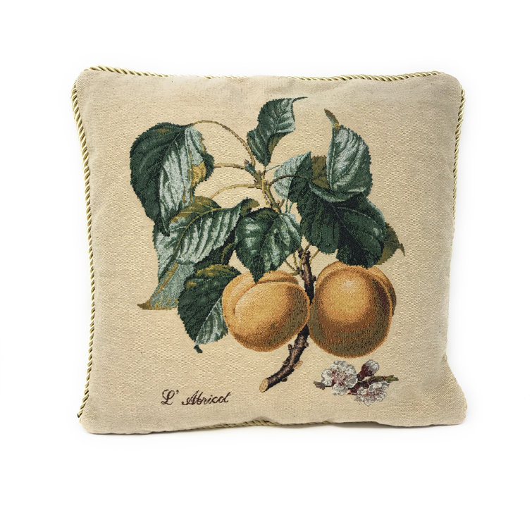 DaDa Bedding Apricot Fruit Elegant Novelty Pillow Cover & Insert Wayfair